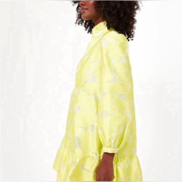 Tuckernuck Citron Fil Coupe Palmerston Dress - Picture 3 of 6